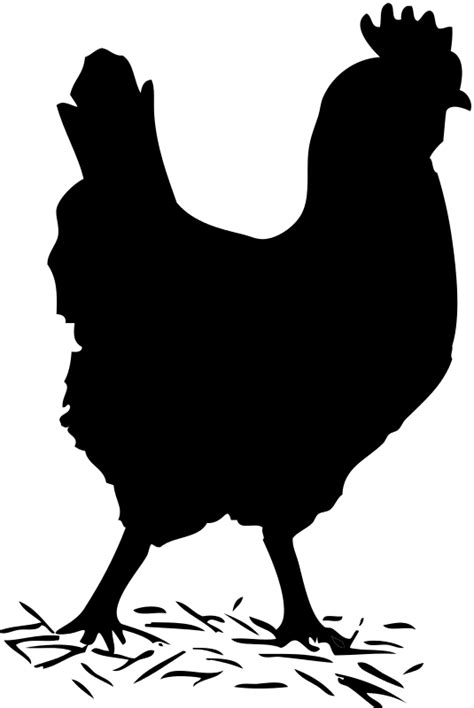 free chicken black and white clipart download free chicken black and white clipart png images