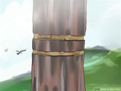 What Can I Put On Trees To Kill Them - How To Poisoning A Tree