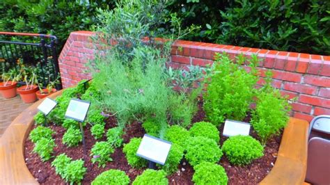 How To Build An Outdoor Herb Garden Slick Garden
