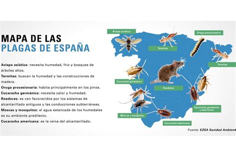 El Mapa De Las Plagas En Espa A Para Combatir Insectos Y Roedores