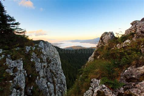 Romanian Rarau Mountain Stock Image Image Of Rise Trees 47669627