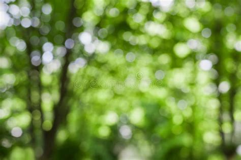 Blur Green Background Hi Res Stock Photography And Images Alamy