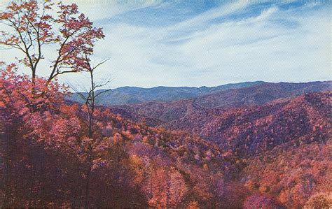 Vintage Travel Postcards Great Smoky Mountains National Park