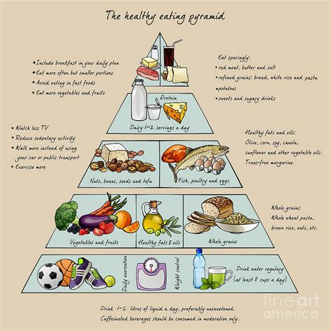 Healthy Food Pyramid Dikiwhere