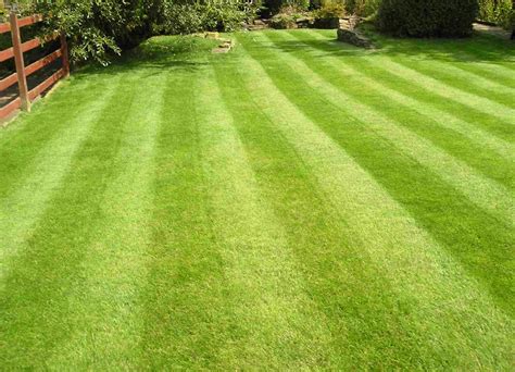 Lawn Care | Horizon Lawn Care & Landscaping | Youngstown Ohio