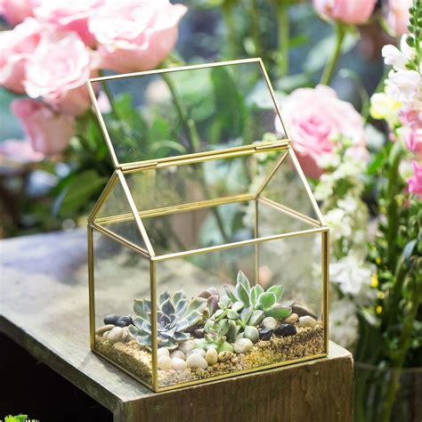 Glass Metal Geometric Terrarium Succulent Indoor Plant House Planter Box Gold 804037905877 Ebay