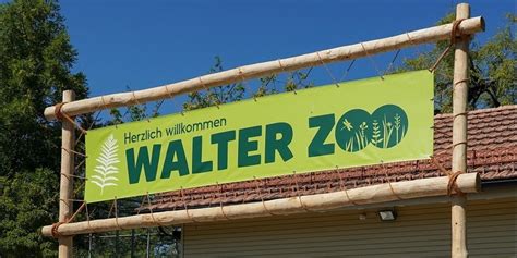 Walter Zoo Innenräume Und Terrassen Wieder Offen Lifestyle