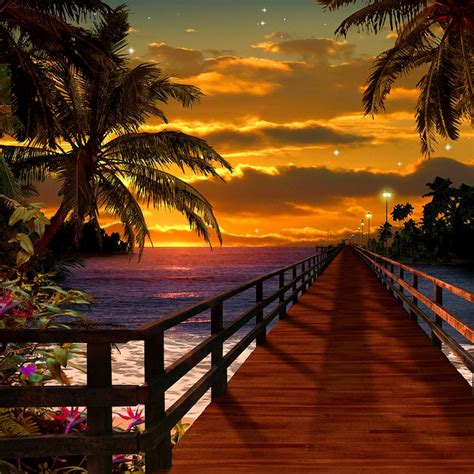 Tropical Sunset Beach Boardwalk Photo Backdrop Homecoming Etsy