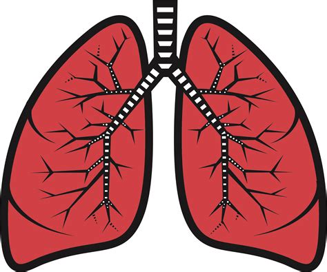 Lungs With Flowers Png Art Puke