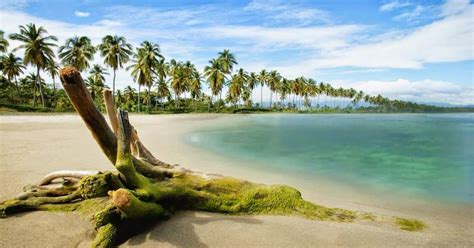 Download gambar pemandangan untuk wallpaper. Background Photoshop Pemandangan