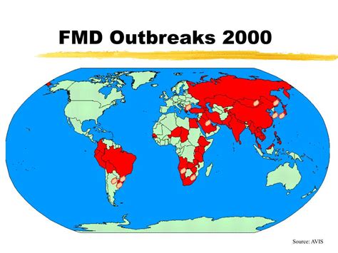 Ppt Foot And Mouth Disease From A Global Perspective Powerpoint
