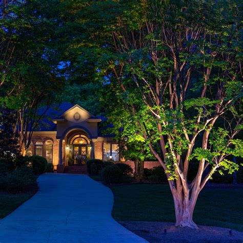 Landscape Lighting Accenting Trees — Limelight Outdoor Lighting