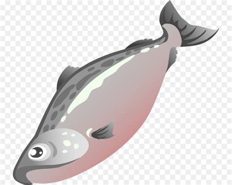 salmon clipart images 10 free Cliparts | Download images on Clipground 2021