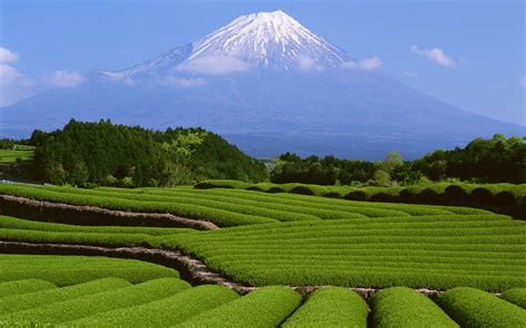 Japan Landscape Mount Fuji Wallpapers Hd Desktop And Mobile Backgrounds