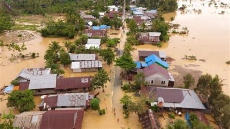 Hektar Lahan Pertanian Terancam Gagal Panen Akibat Banjir Kalsel