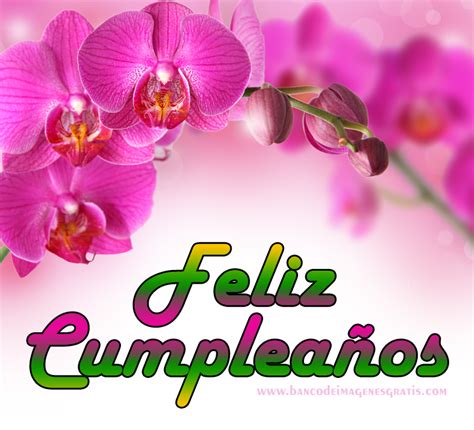 Banco De ImÁgenes Gratis Feliz Cumpleaños Con Rosas Y Orquídeas