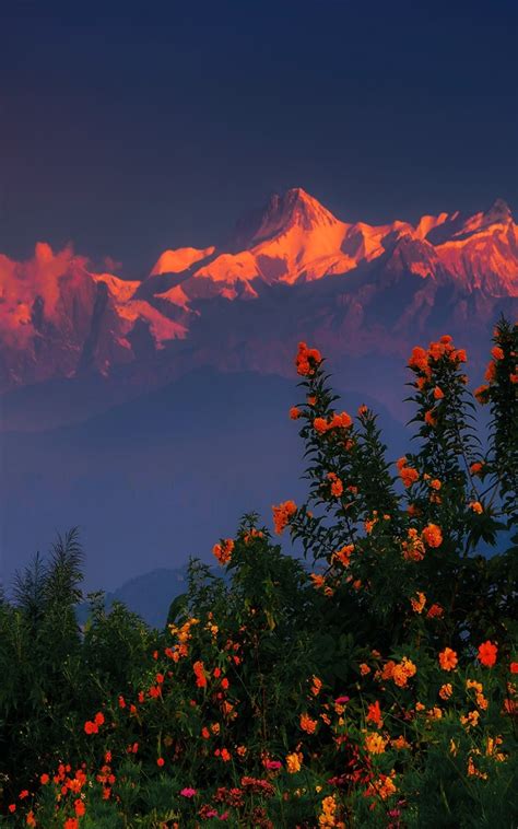 1200x1920 Himalayas Mountains Nepal Region 1200x1920 Resolution