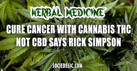 Consuming organic vegetable and fruit juice also help to raise your ph level a great deal. Cure Cancer With Cannabis THC, Not CBD Says Rick Simpson