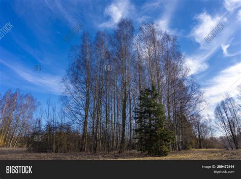Early Spring Landscape Image And Photo Free Trial Bigstock