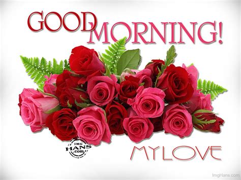 Good Morning My Love With Red Roses Good Morning Wishes And Images