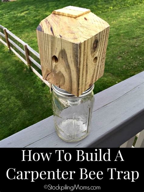 How To Build A Carpenter Bee Trap Carpenter Bee Trap Carpenter Bee