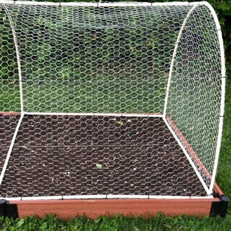 Maybe you would like to learn more about one of these? My husband designed this cover to keep squirrels & rabbits ...