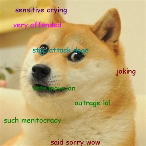 Non Apology Doge Sorrywatch
