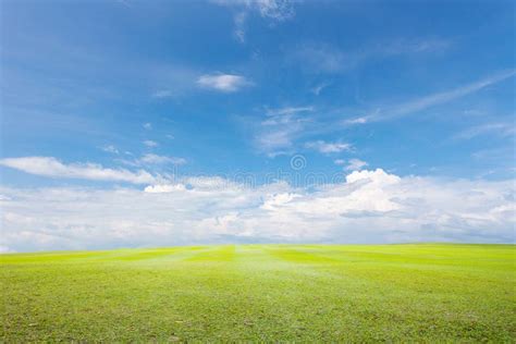 Green Grass And Sky Cloud Background Stock Image Image Of Meadow