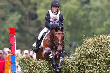 Check out rocketman28's art on deviantart. Ardeo Sport Horses for Sale Ireland. Dressage, Showjumping ...