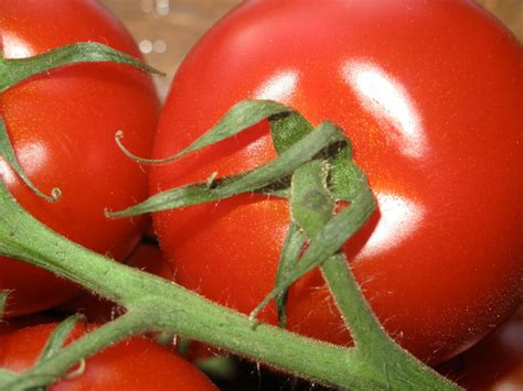 Campari Tomato Sweet Vine Tomatoes Exotic Fruit Vegetables Plant Seed