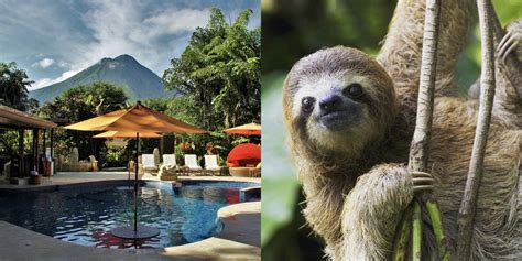 this resort in costa rica has a sloth preserve — hang with sloths at this resort in arenal