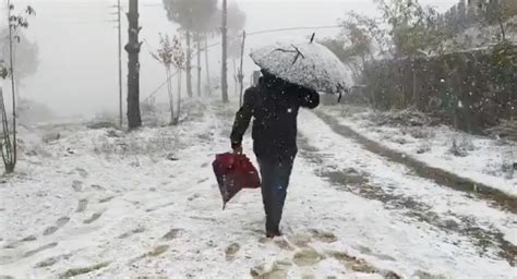 Nagaland Receives Surprise Snowfall After 37 Years Videos And Pictures