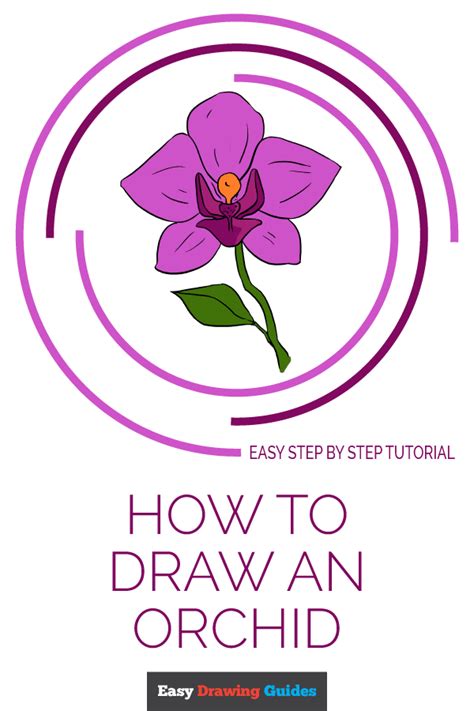 Pin On Learn How To Draw Orchid Easy Step By Step Drawing Tutorial For