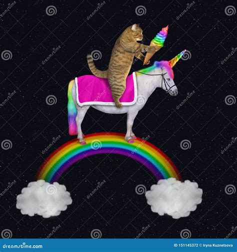 Cat Rides An Unicorn On The Rainbow Stock Illustration Illustration