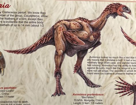 Dustin Growick On Twitter My Aesthetic Is Feathered Dinosaurs That Are Absolutely Jacked