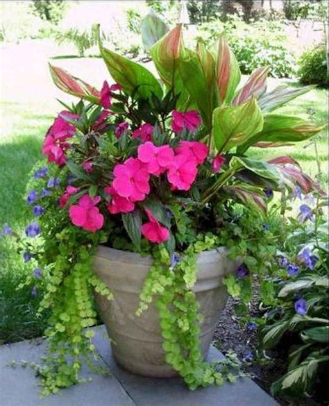 01 Fresh And Easy Summer Container Garden Flowers Ideas Container