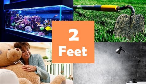 7 Things That Are About 2 Feet Ft Long