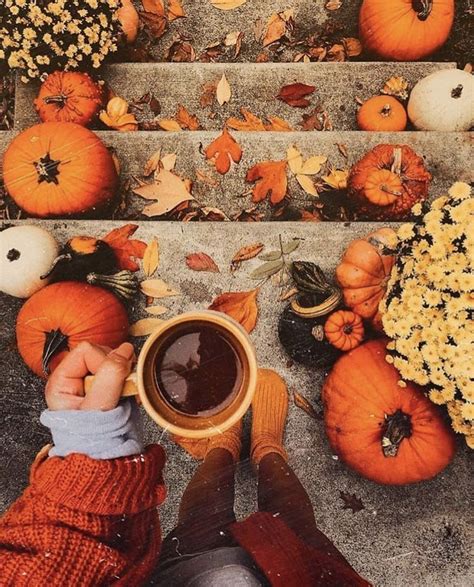 Pin By K Y L E E On S E A S O N S In Autumn Aesthetic Fall