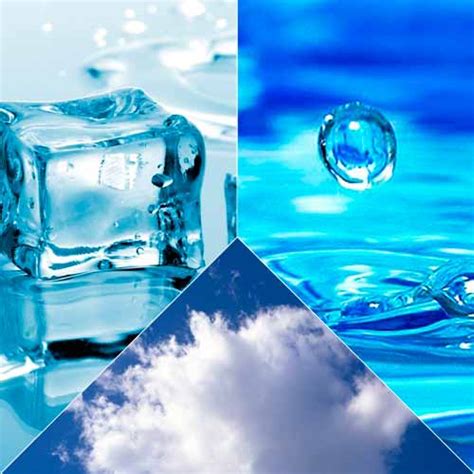 Вода роль воды в природе и жизни человека