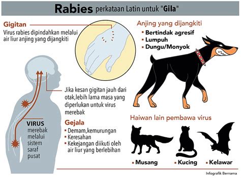 Tanda, Rawatan Dan Pencegahan Rabies