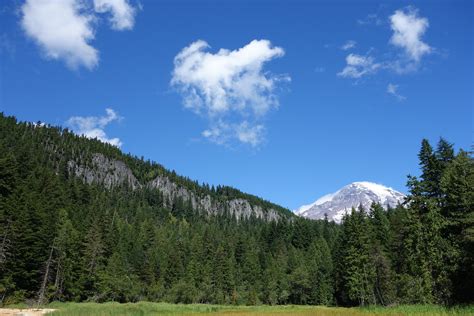 Longmire Meadow Mount Rainier National Park Is Located In Flickr