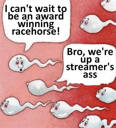 just two sperm cells talking to each other r okbuddyvowsh