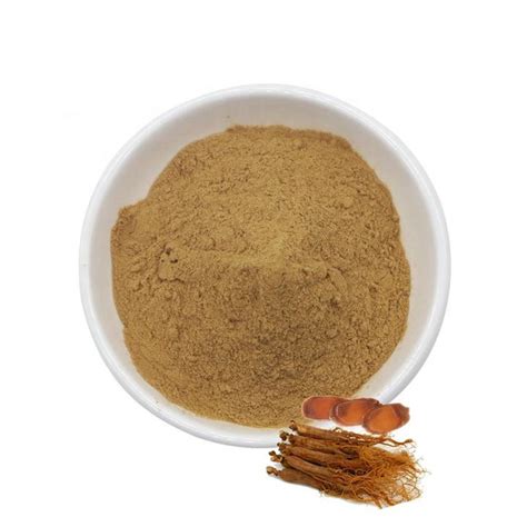 Natural Korean Red Ginseng Powder Red Ginseng Root Extract China