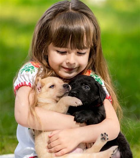 Best Pets For Kids11 Small And Low Maintenance Pets To Consider