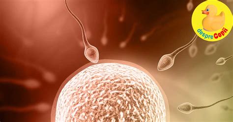 Cum poți detecta cel mai sigur perioada ovulației semnale pe care trebuie să le cunoști