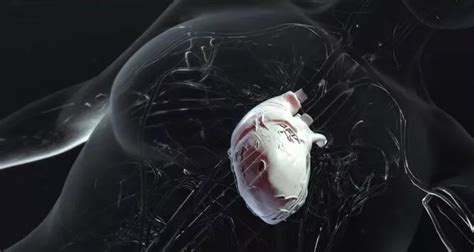 Worlds First Totally Robotic Heart Will End Need For Transplants In 10