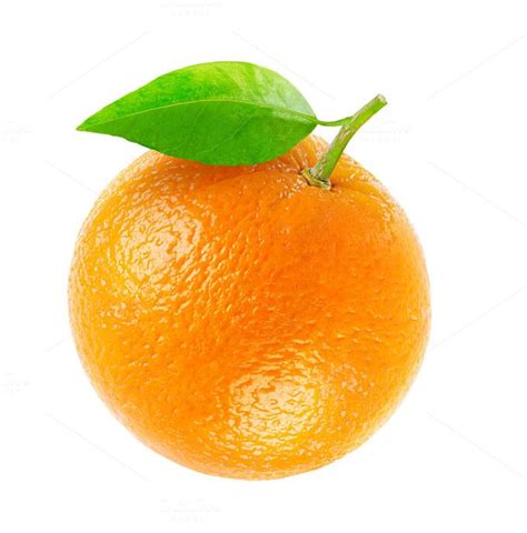 Orange Fruit Orange Fruit Fruits Drawing Orange