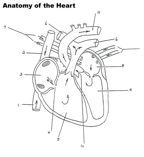 Heart And Labels Drawing At Getdrawings Free Download