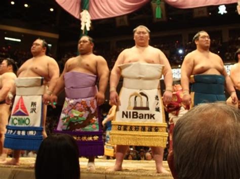 Tokyo Japan Tour Traditional Sumo Tournament Viewing