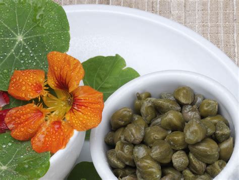 Nasturtium Capers Made From Plant Seeds